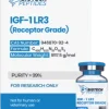 Receptor Grade IGF-1 LR3 (100mcg)